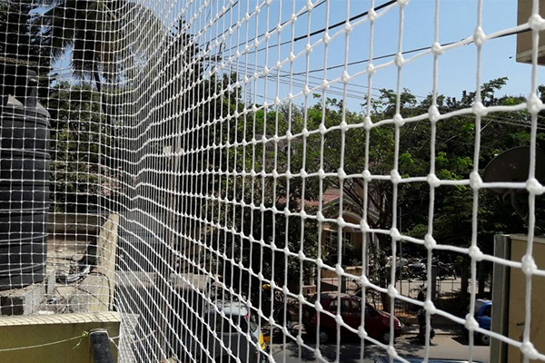 Pigeon Net Service
