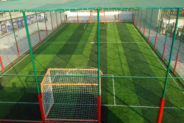 Sports Net Service